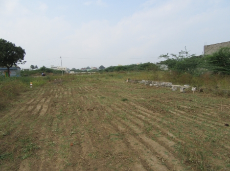 55 Ankanams Plot for Sale in Cherlopalli, Tirupati